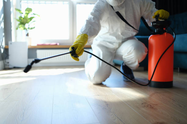 Reliable Drug Lab Cleanup contractor in Kyburz, CA by Trauma Clean Pros
